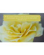 Be of good courage, and he shall strengthen your heart, all ye that hope in the Lord. (Psalms 31:24) 

Artwork design features a gorgeous design of a yellow rose accompanied by bible verse on yellow.