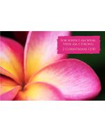 For when I am weak, then am I strong. (2 Corinthians 12:10) 

Artwork design features a tropical design of a pink and yellow frangipani flower accompanied by bible verse on pink.