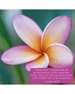 Thou hast turned for me my mourning into dancing: thou hast put off my sackcloth, and girded me with gladness. (Psalms 30:11) 

Artwork design features an artistic design of a frangipani flower accompanied by bible verse on pink.