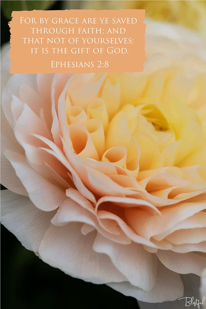 For By Grace Are Ye Saved Through Faith (Ephesians 2:8) - For by grace are ye saved through faith; and that not of yourselves: it is the gift of God. (Ephesians 2:8) 

Artwork design features a splendid design of a peach rose accompanied by bible verse on peach.