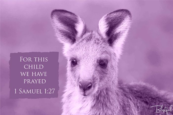 For This Child We Have Prayed (1 Samuel 1:27) - For this child we have prayed. (1 Samuel 1:27) 

Artwork design features an adorable design of a young kangaroo accompanied by bible verse on mulberry purple.