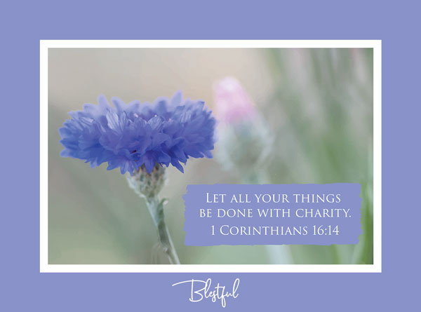 Let all your things be done with charity. (1 Corinthians 16:14 (KJV))